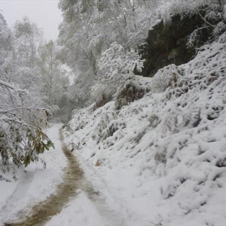 Trail del Monte Casto