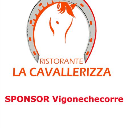 Sponsor Vigonechecorre